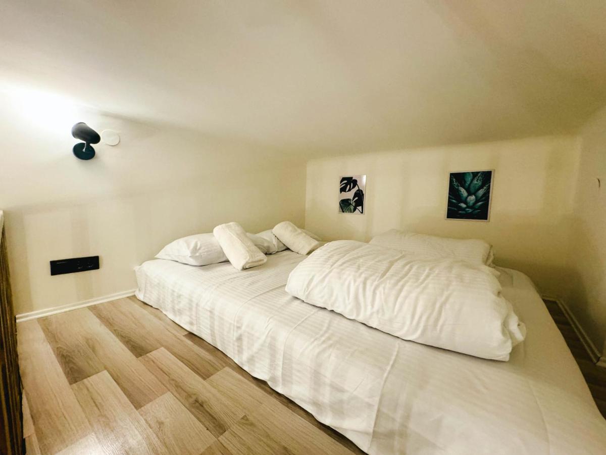 Comfy Studio In City Center Belgrad Exteriör bild
